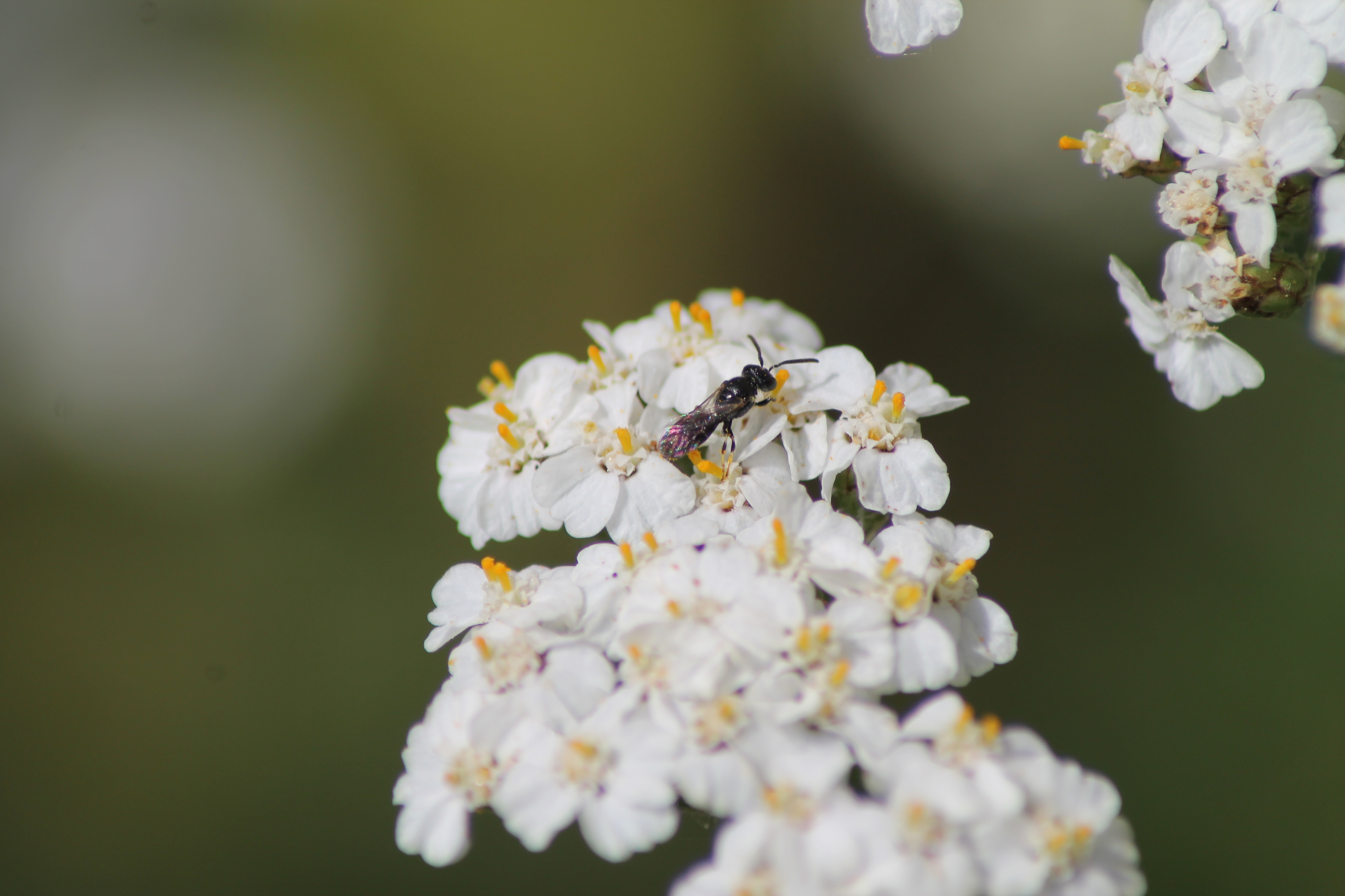 Image De Fond Pour Page De Garde