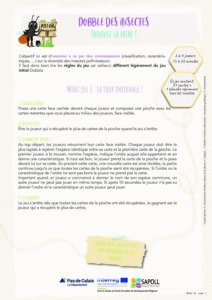Atelier_18_DOBBLE des insectes